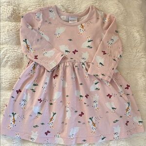 Hanna Andersson Light Pink Bunny and Carrot Dress